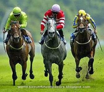 Beautiful Wallpaper Racing Horse