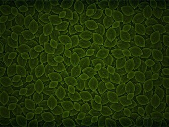 Green Wallpaper Widescreen Nature