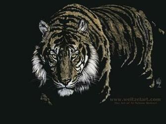 Desktop Wallpaper Background Tiger Animals