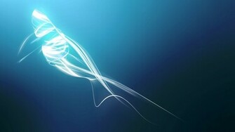 Beautiful Os X HD Wallpaper