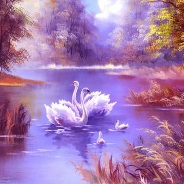 Photo Wallpaper 3d Romantic Beautiful Forest Lake Swan Oil