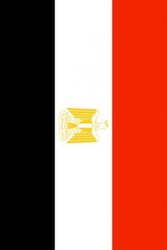 Egypt Flag iPhone Wallpaper HD