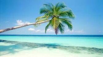 Sunrise Sunset Tropical Ocean Related Keywords
