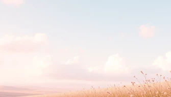 Aesthetic Wallpaper