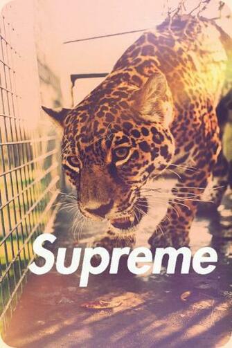 Showing Gallery For iPhone Wallpaper Swag