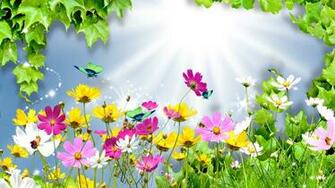 Bright Floral Background Net