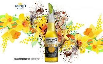 Corona Extra Alcohol Wallpaper Best Cool HD