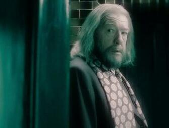 Albus Dumbledore In Order Of The Phoenix