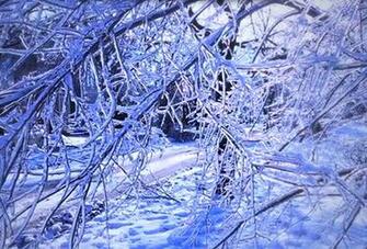 Ice Storm Toronto