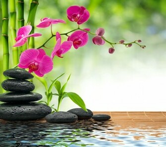 Eye Relaxing Wallpaper Call Or Text For Appointment