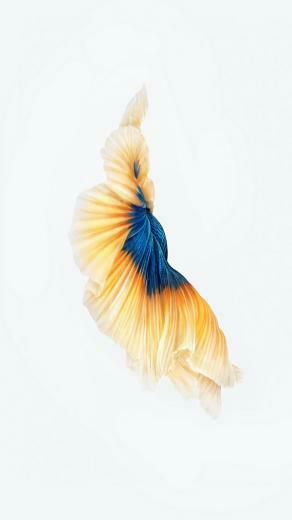 iPhone Wallpaper To Set As Background