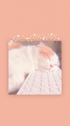 Keyboard Aesthetic Wallpaper Top