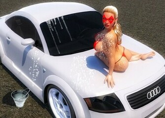 Lady Swiftclaw Car Wash Wallpaper