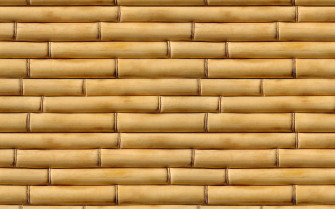 Top Bamboo HD Wallpaper Full 4k To Use