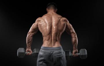 Wallpaper Men Muscular Bare Back Image For Desktop Section