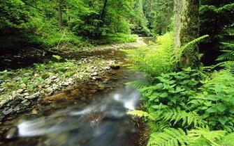 Deutschland Polenz S Chsische Schweiz Nationalpark