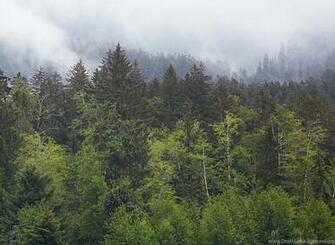 Pacific Northwest Wallpaper Cave Desktop Background