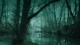 Swamping Swamp Pics Nature HD Wallpaper