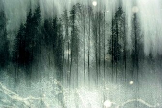 Haunted Forest Wallpaper
