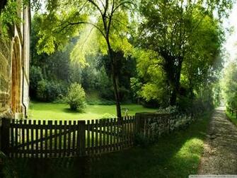 Summer Pathway Desktop Pc And Mac Wallpaper