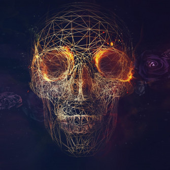 Digital Skull Artwork iPad Air Wallpaper
