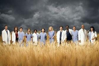 Ing Greys Anatomy HD Wallpaper Color Palette Tags