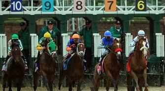 Nyquist Is The Most Winning Horse In Contest And Favorite Of All