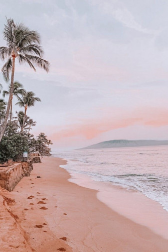 Tropical Mood Beach Wall Collage Wallpaper Aesthetic