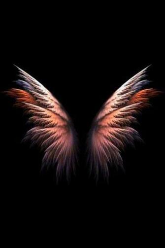 Pin De Anon Em Wings Art Papel Parede Preto Arte Anjo
