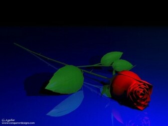 3d Red Rose New Nature Myspace Wallpaper Blicer