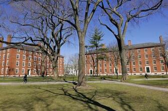 Harvard Background On Zoom Brings Campus To Life Gazette