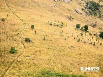 Runner S World Wallpaper Dcrainmaker List Of