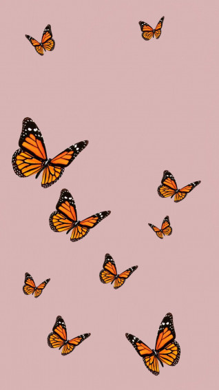 Butterfly Aesthetic Background Wallpaper