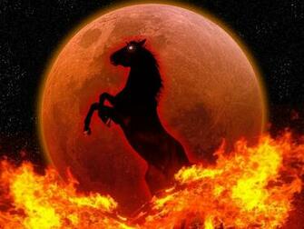 Fire Horse Photos Pictures