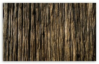 Wood HD Desktop Wallpaper Widescreen High Definition Fullscreen