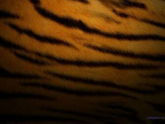 Tiger Fur Do It