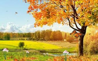 Beautiful Nature Screensaver