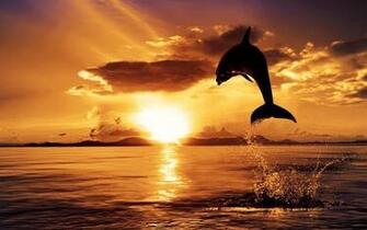 Dream Spring Beautiful Sunset HD Wallpaper