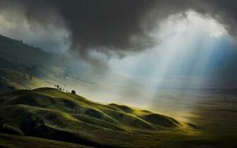 Forest K Wallpaper Landscape National Background Image