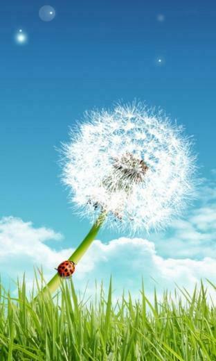 Image Samsung Galaxy S2 Animated Mobile Wallpaper