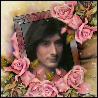Steve Perry Image Wallpaper And Background