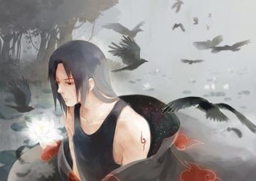 Naruto Uchiha Itachi Crow Black Bird Low Ponytail Wallpaper