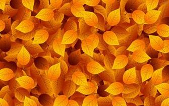 Autumn Leaves Wallpaper Vector