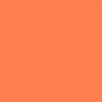 Coral Solid Color Background And The Below