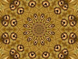 Stock Image Brown Eyes Mandala Tacluda July