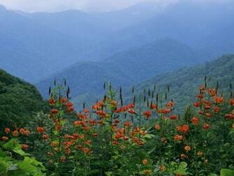 Great Smoky Mountain National Park Tennesse High Quality