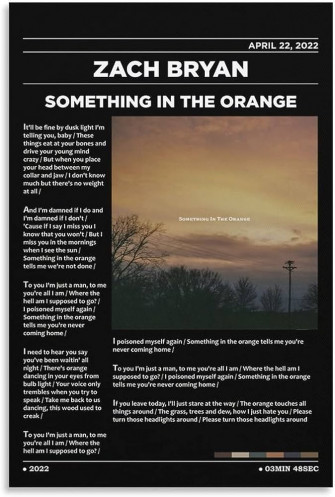 Amazon Doulat Zach Bryan Poster Something In The Orange Music