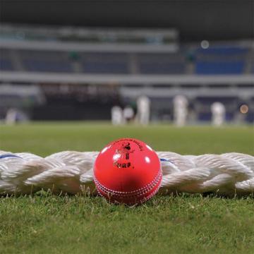 Lux Vs Nor Dream11 Prediction Fantasy Cricket Tips Playing Xi