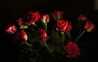 Wallpaper Rose Bud Petals A Bouquet Light Flowers