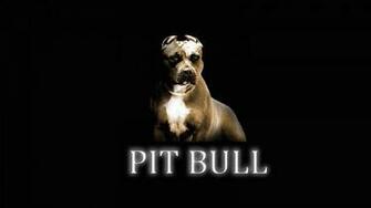 Pitbull Dog Wallpaper